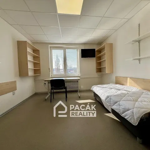 Bedroom; natural light, wood beams, wood floor