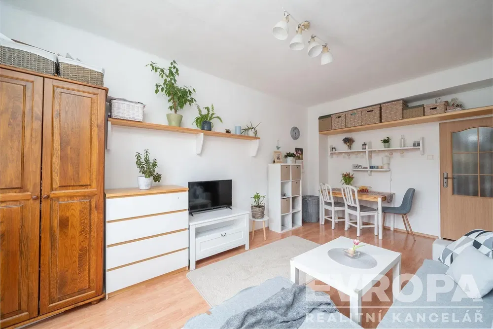 Oturma odası; doğal ışık, modern stil