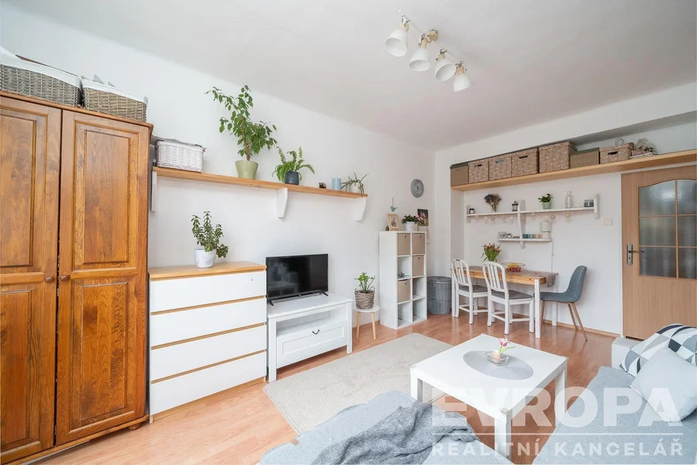 Obývačka; prirodzené svetlo, moderný štýl