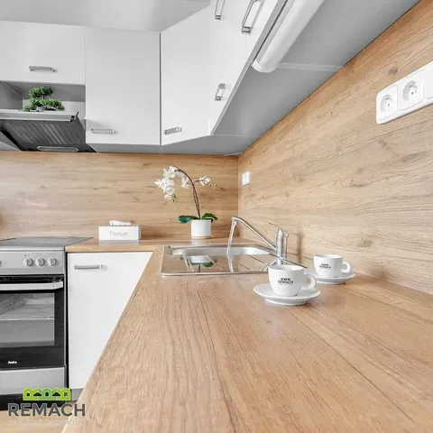 Kitchen; kitchen appliances, natural light, modern style, renovated