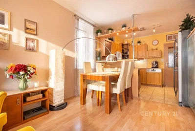 Cuisine; lumière naturelle, style moderne
