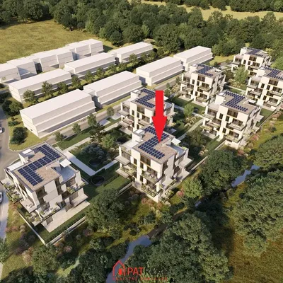 House and surroundings; view