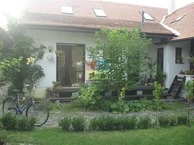 Dom i otoczenie; światło dzienne