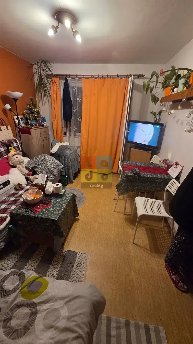 Oturma odası; doğal ışık, modern stil