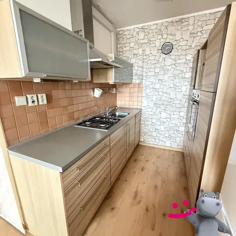 Keuken; keukenapparatuur, tegelvloer, houten vloer, gerenoveerd, natuurlijk licht