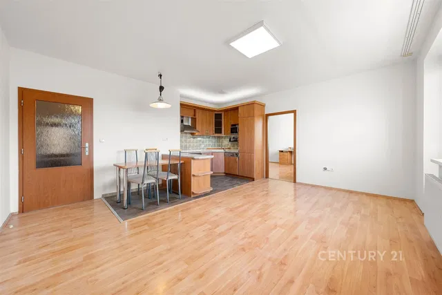 Living room; wood floor, natural light, modern style