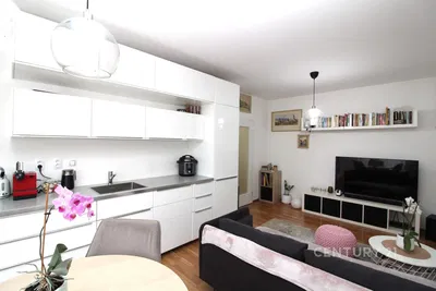 Obývací pokoj; kuchyňské spotřebiče, přirozené světlo, moderní styl