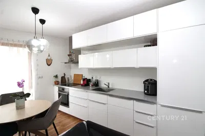 Kuchyně; kuchyňské spotřebiče, moderní styl, přirozené světlo, po rekonstrukci