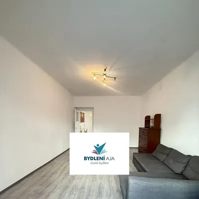 Wohnzimmer; holzboden, tageslicht