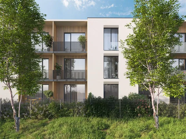 House and surroundings; view