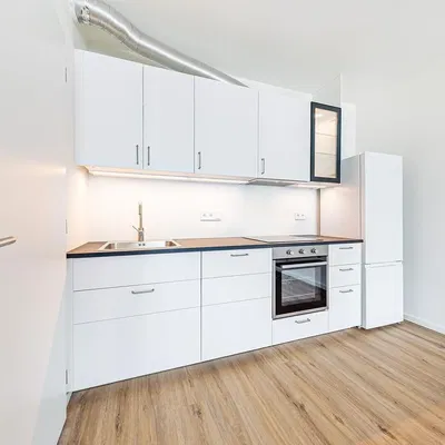 Küche; küchengeräte, tageslicht, moderner stil, holzboden, renoviert