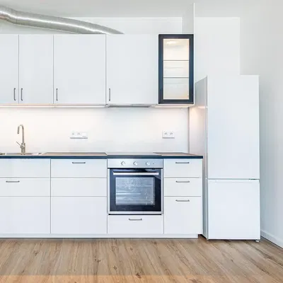 Küche; küchengeräte, moderner stil