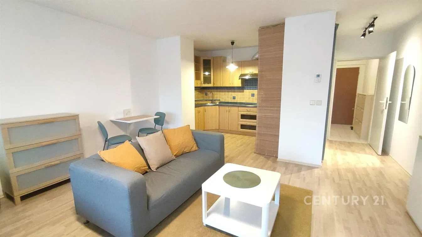 Dnevni boravak; pogled, prirodna svjetlost, moderan stil