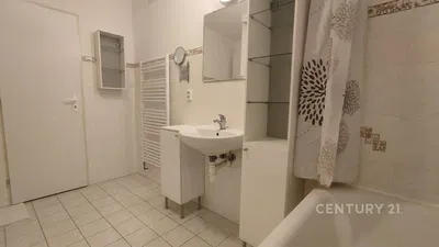 Kupaonica; pločice, renoviran, prirodna svjetlost, moderan stil