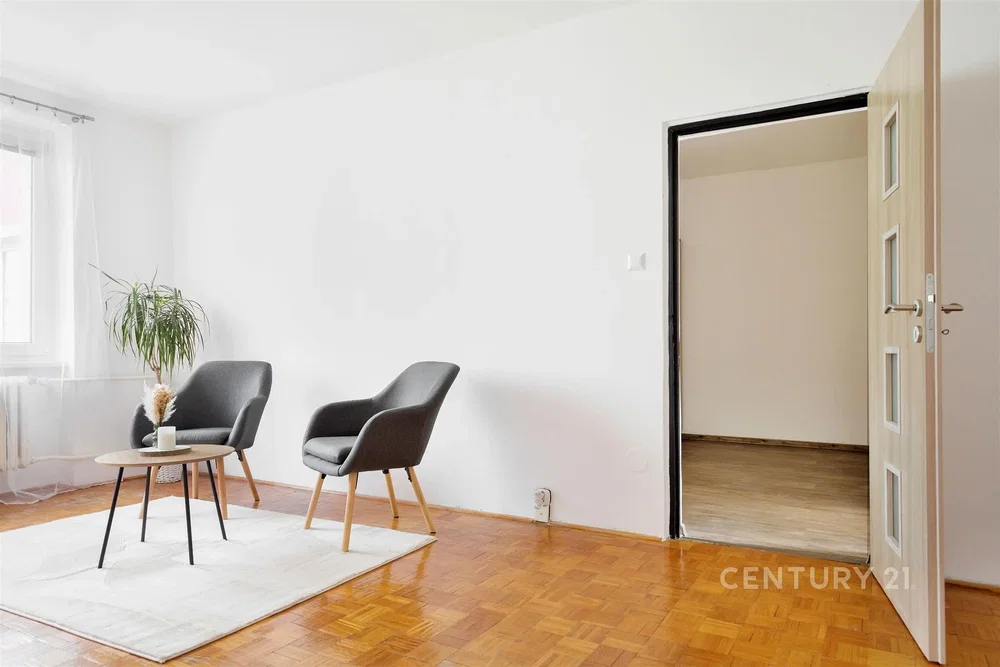 Living room; natural light, wood floor, modern style