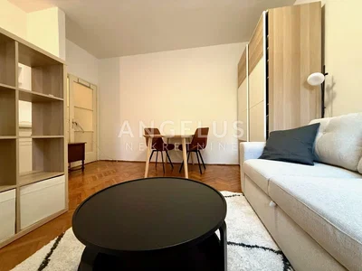 Salon; parquet, lumière naturelle, style moderne