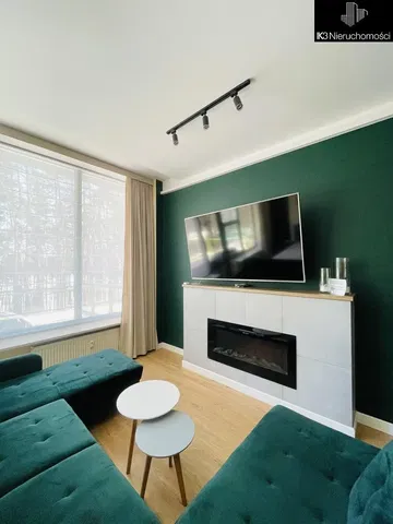 Dnevna soba; kamin, prirodno svjetlo, moderni stil