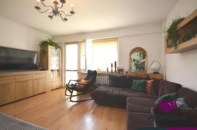 Дневна соба; природно светло, дрвени под, модерни стил