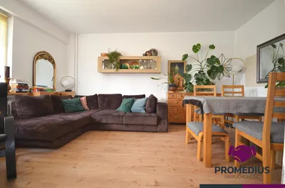 Дневна соба; дрвени под, природно светло, модерни стил