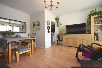 Дневна соба; природно светло, модерни стил