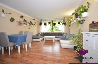 Sala de estar; luz natural, estilo moderno