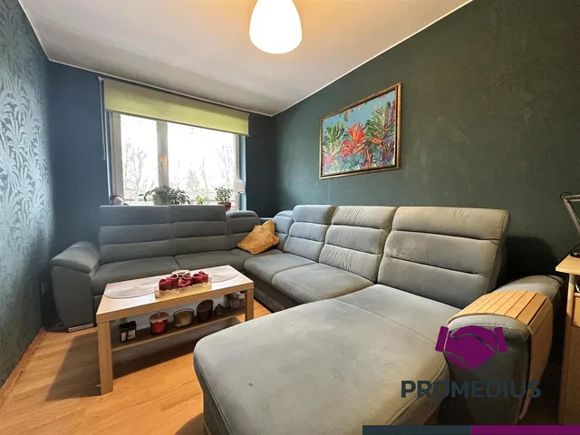 Дневна соба; природно светло, модерни стил