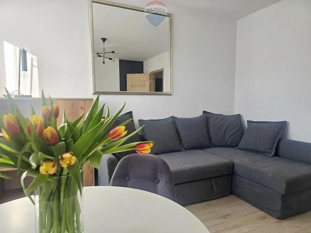 Oturma odası; doğal ışık, modern stil