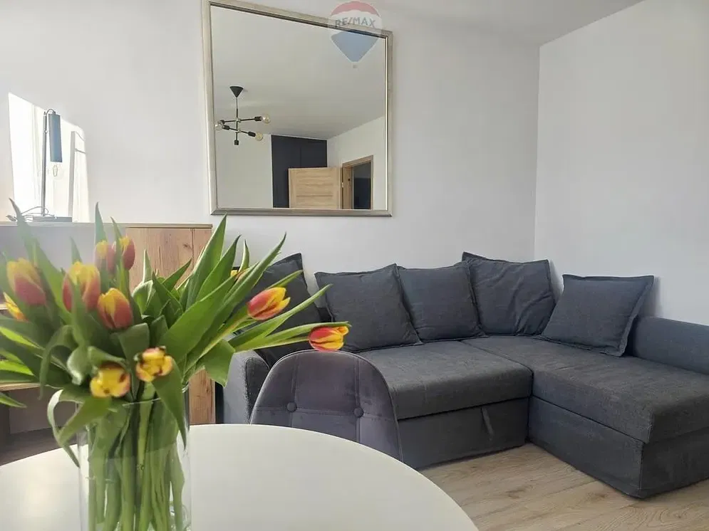 Oturma odası; doğal ışık, modern stil