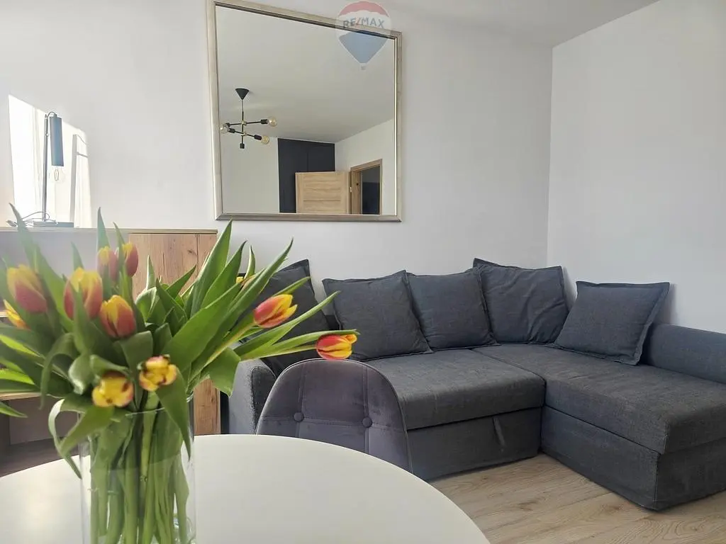 Soggiorno; luce naturale, stile moderno