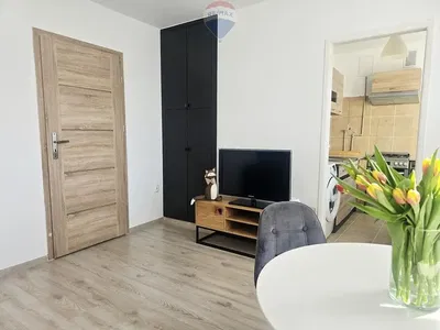 Oturma odası; ahşap zemin, modern stil, doğal ışık