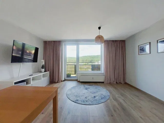 Sala de estar; vista, chão de madeira, luz natural