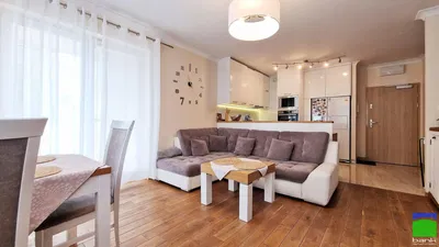 Oturma odası; doğal ışık, ahşap zemin, modern stil