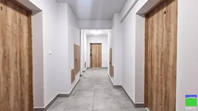 Diğer