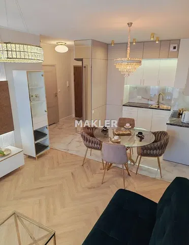 Wohnzimmer; moderner stil, renoviert, tageslicht