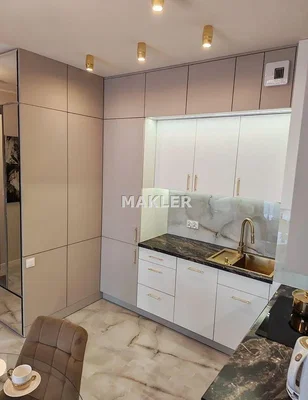 Кухиња; кухињски апарати, модерни стил, реновиран