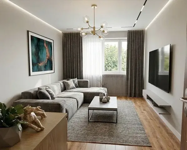 Living room; natural light, modern style, wood floor