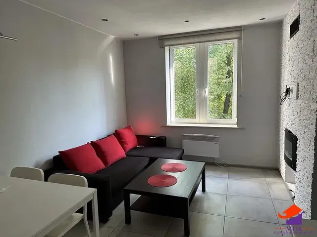 Living room; view, natural light, modern style