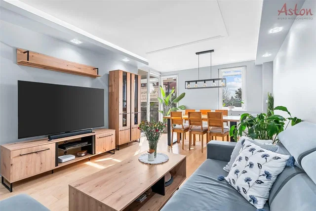 Living room; natural light, modern style, wood floor