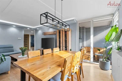 Дневна соба; природно светло, модерни стил