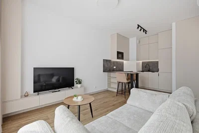 Wohnzimmer; moderner stil, holzboden, tageslicht, küchengeräte