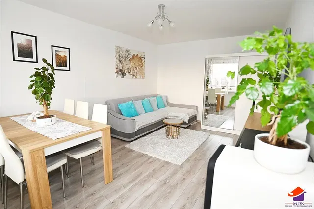 Living room; natural light, modern style