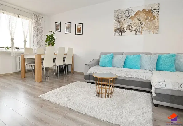 Living room; natural light, modern style