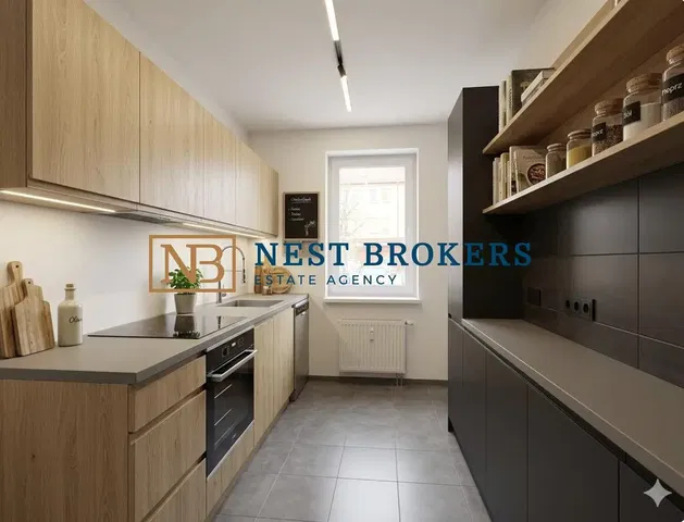 Kitchen; kitchen appliances, natural light, modern style, renovated