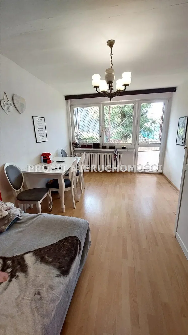 Salon; parquet, lumière naturelle