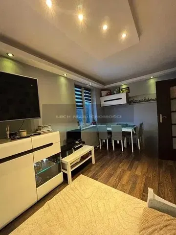 Хол; дървен под, естествена светлина