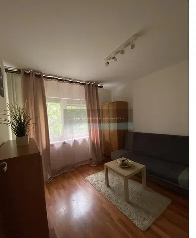 Хол; дървен под, естествена светлина, модерен стил