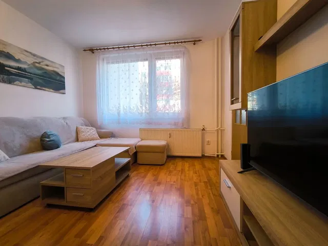 Obývačka; drevená podlaha, prirodzené svetlo