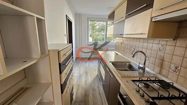Keuken; keukenapparatuur, natuurlijk licht, moderne stijl