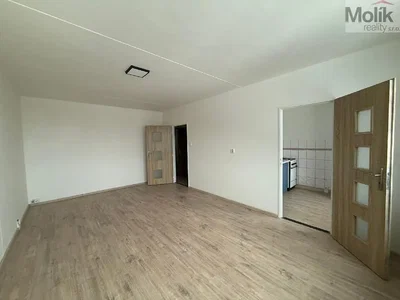 Wohnzimmer; holzboden, tageslicht