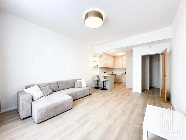 Woonkamer; natuurlijk licht, moderne stijl